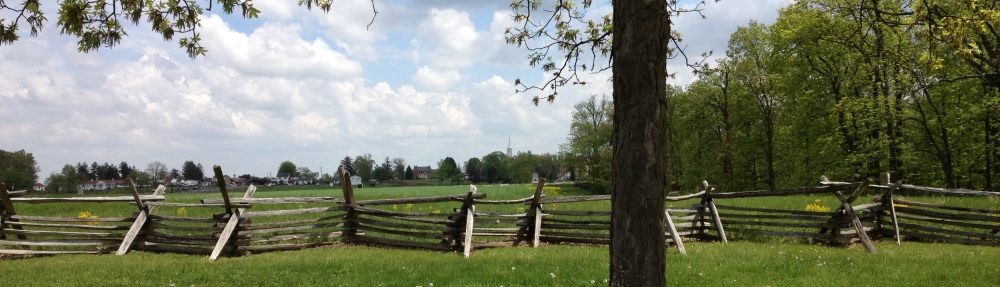 Public History Lives